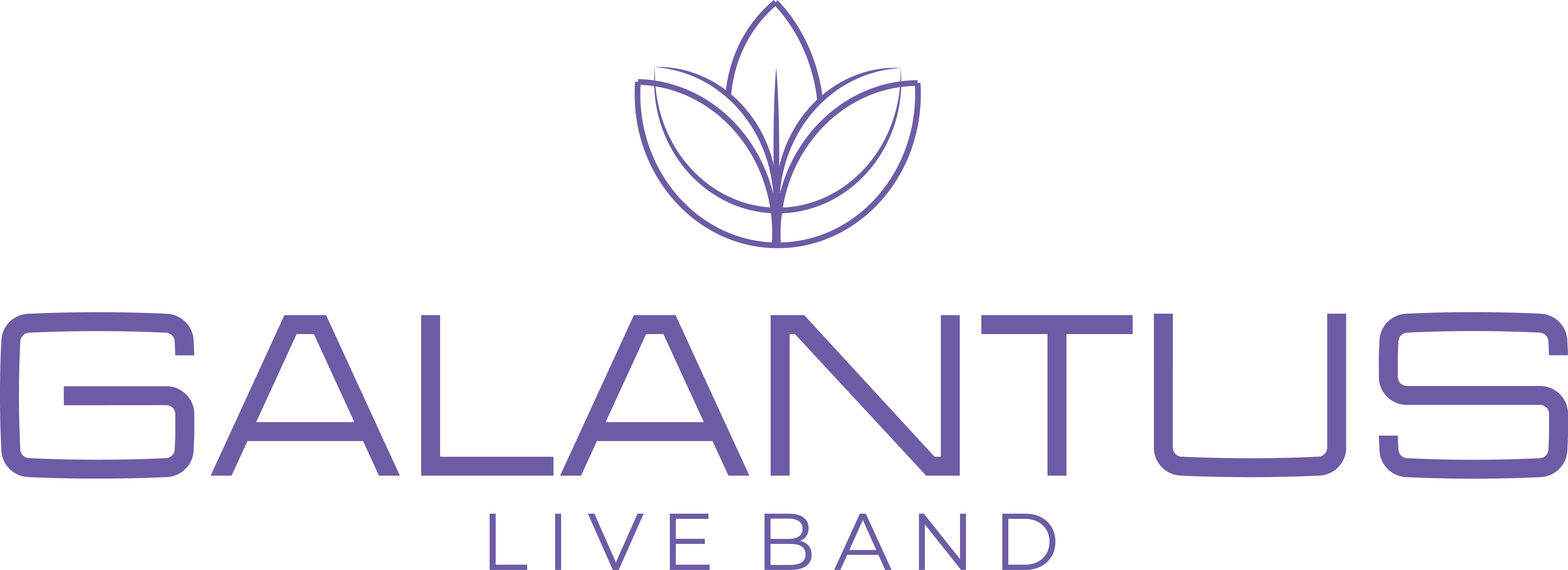 Партнер TeamFest